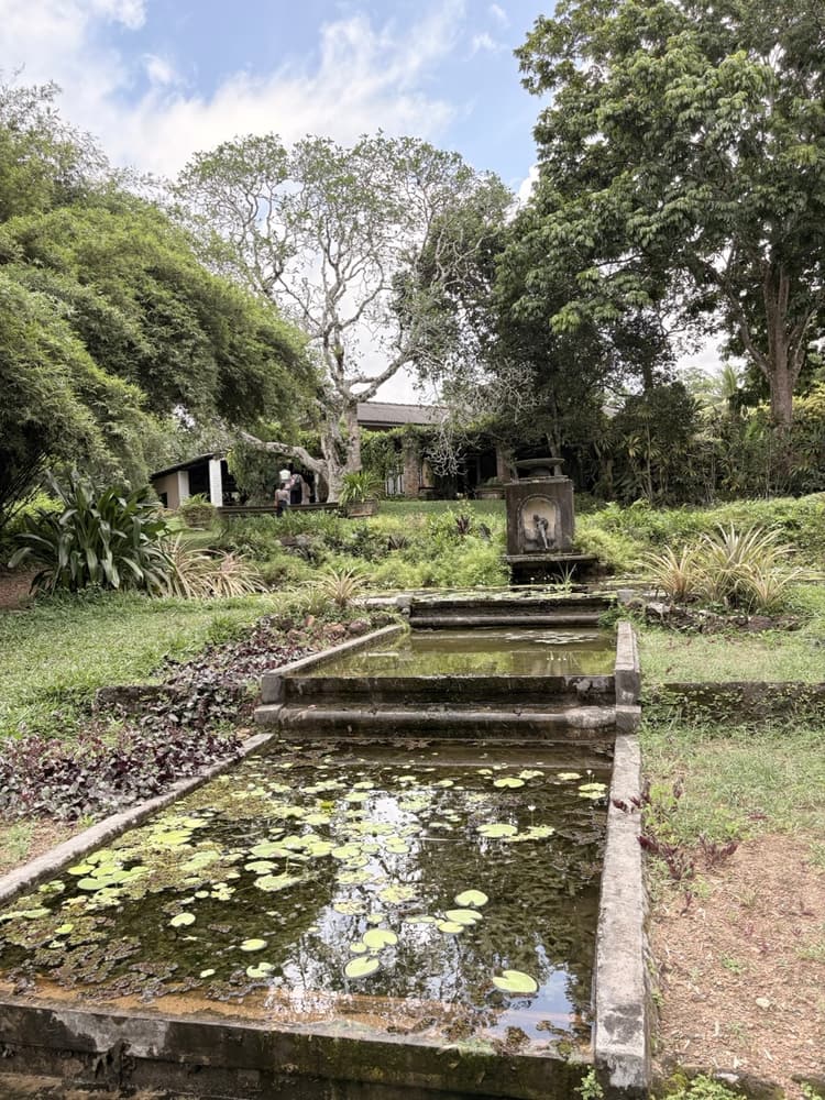 Rectangular lily pond on a terrace with steps leading up to the house beyond