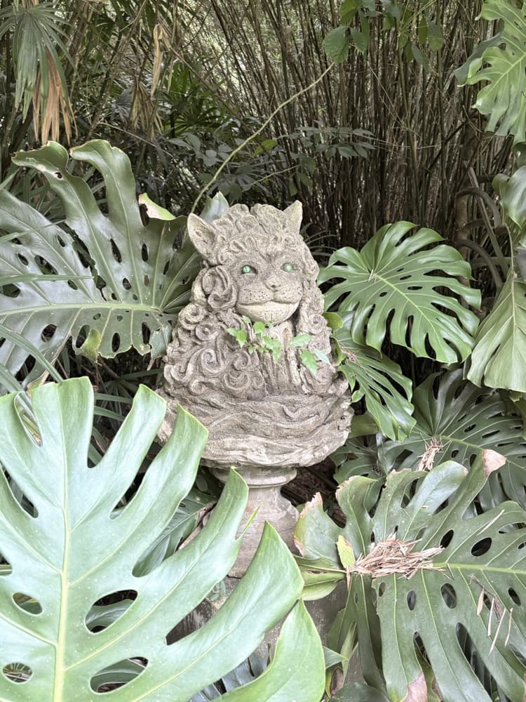 Smiling carved stone lion emerging from large monstera leaves
