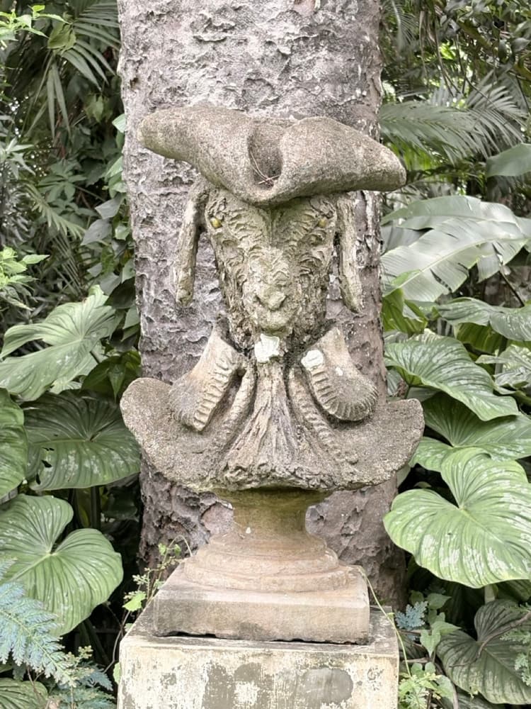 Weathered stone bust wearing a wide tricorn hat, set on a plinth against a tree trunk