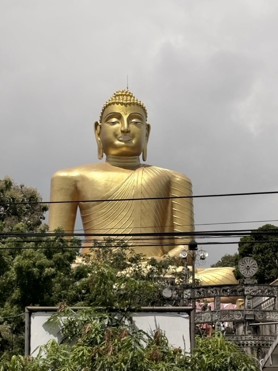 Enormous golden seated Buddha statue rising above trees and power lines, seen from the road below the temple