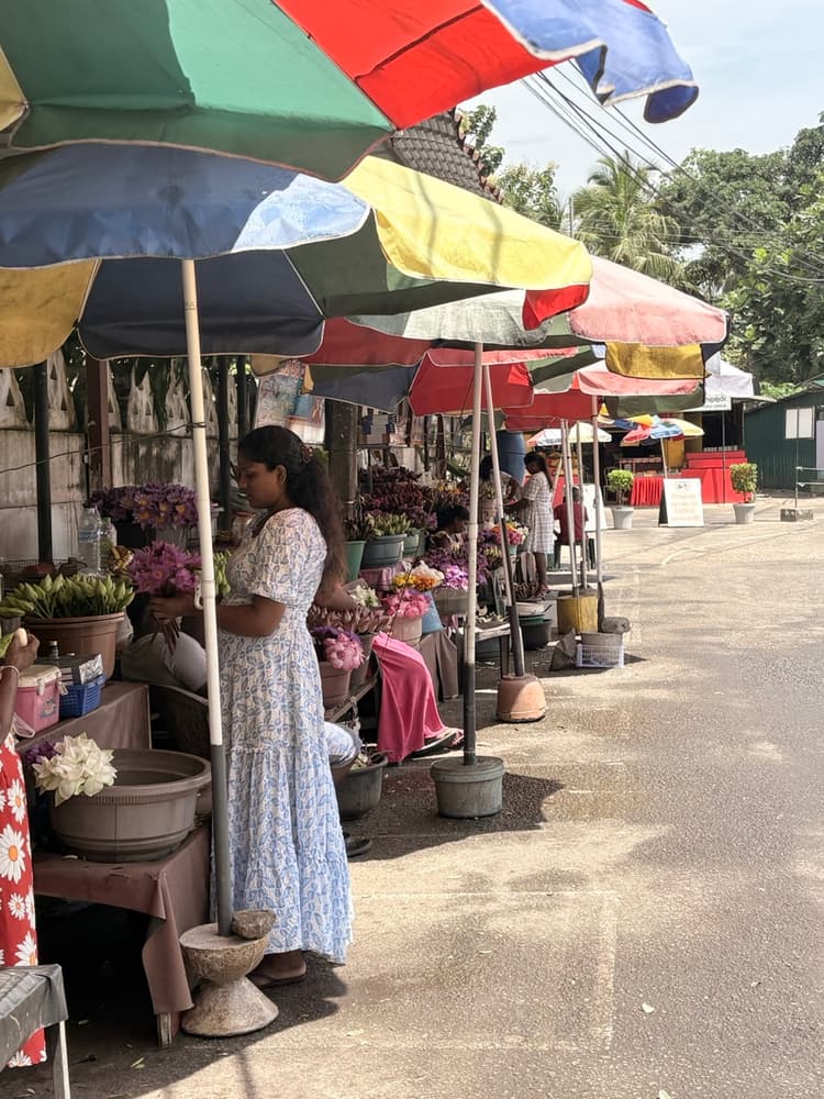 Vendor arranging lotus and water lily blooms at a stall shaded by bright striped umbrellas