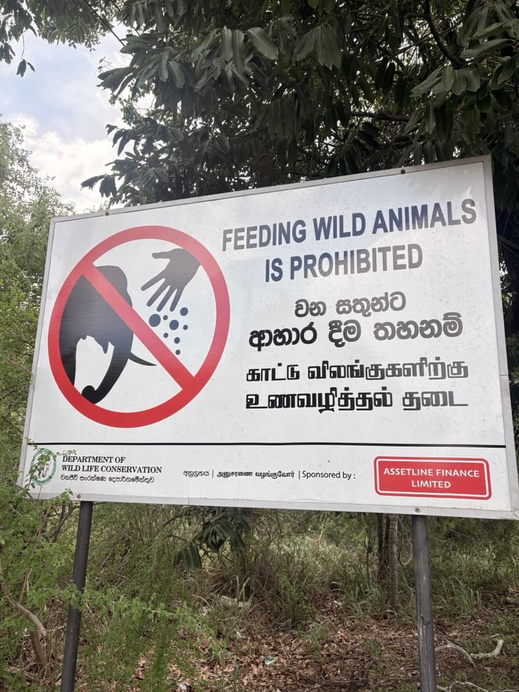 Department of Wildlife Conservation sign in English, Sinhala and Tamil saying feeding wild animals is prohibited