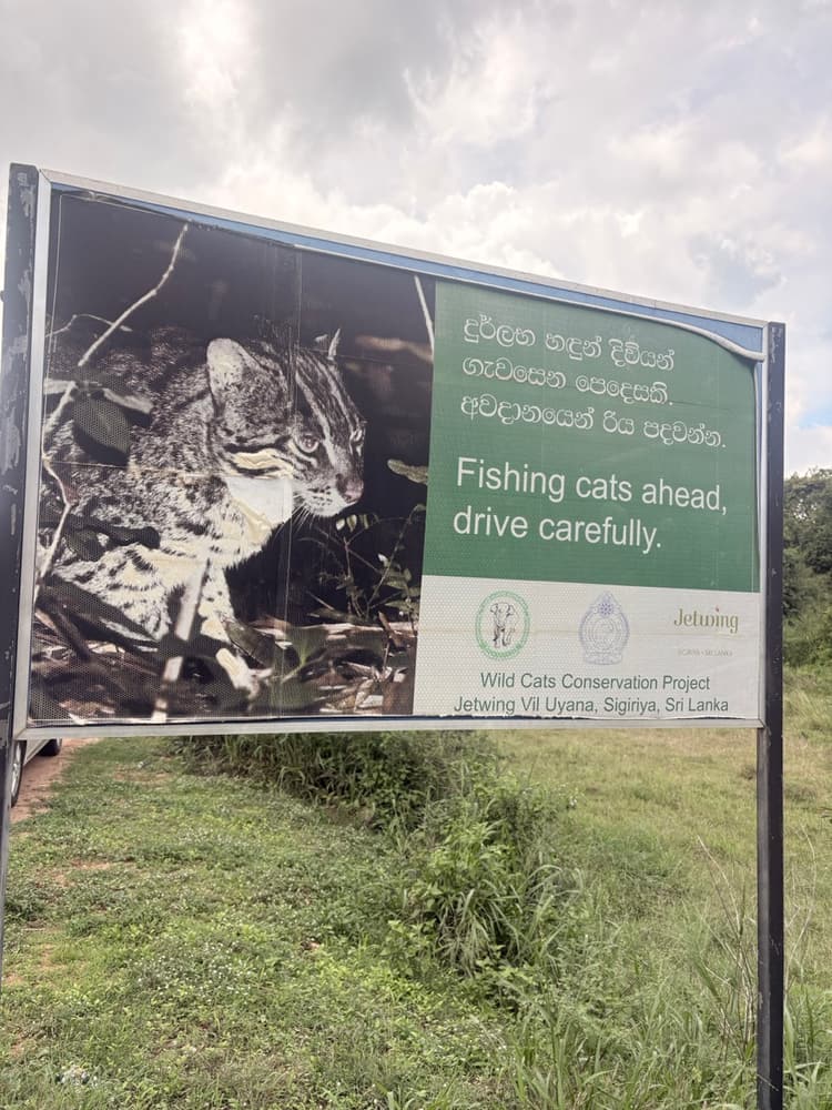 Fishing cats ahead, drive carefully sign from the Wild Cats Conservation Project at Jetwing Vil Uyana, Sigiriya