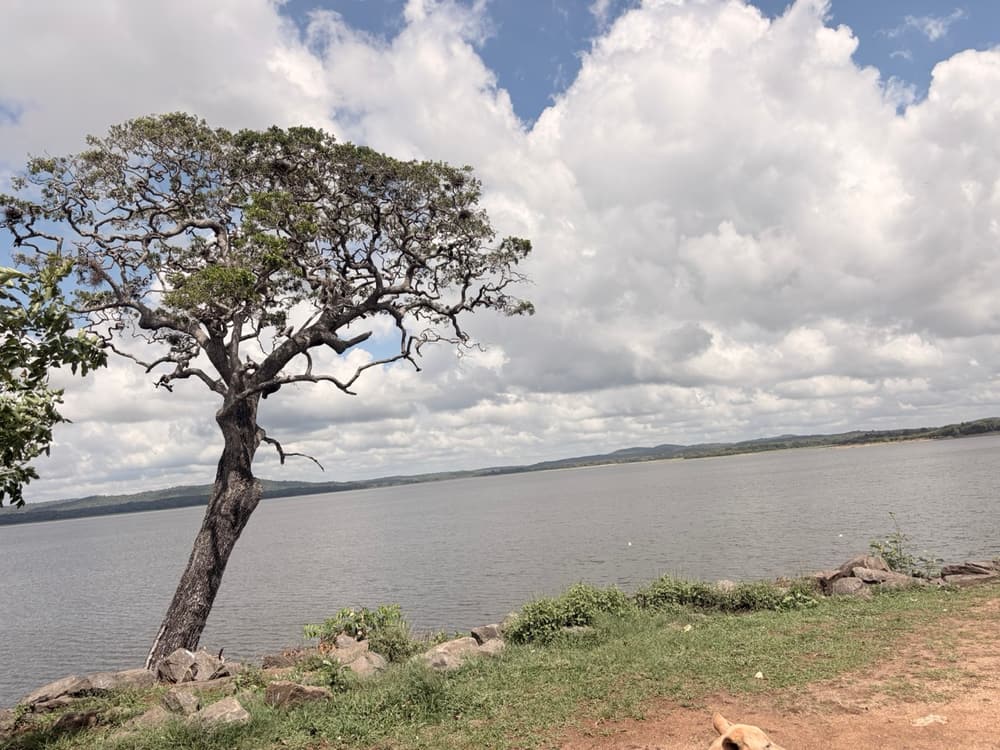 Wide view of the Kantale tank reservoir with a lone tree and rocks on the bund under a cloudy sky