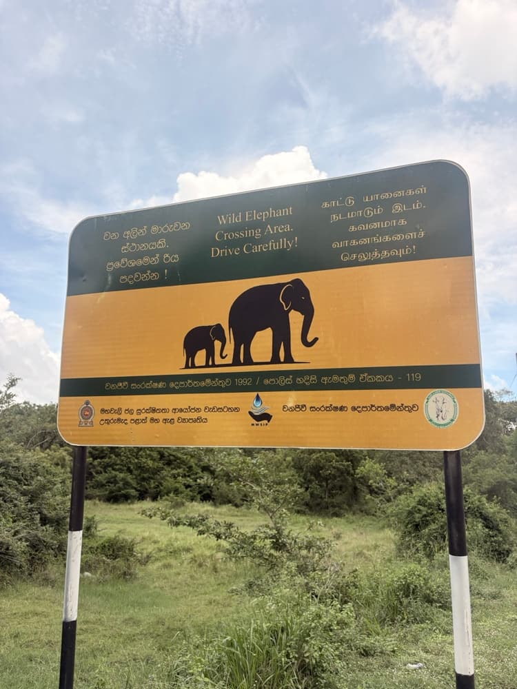 Yellow Wild Elephant Crossing Area, Drive Carefully sign beside the road between Sigiriya and Kantale