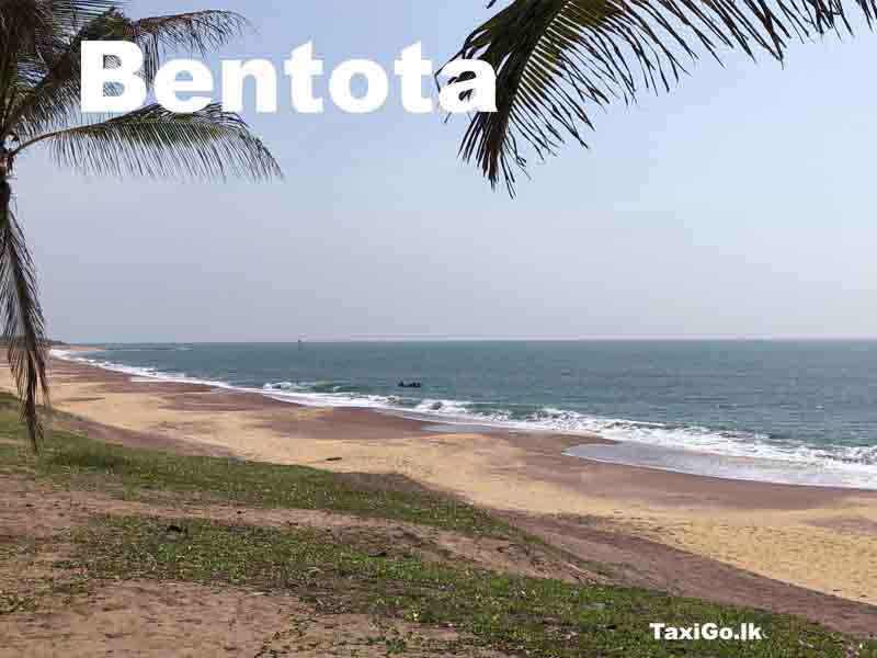 Palm-lined beach at Bentota, Sri Lanka