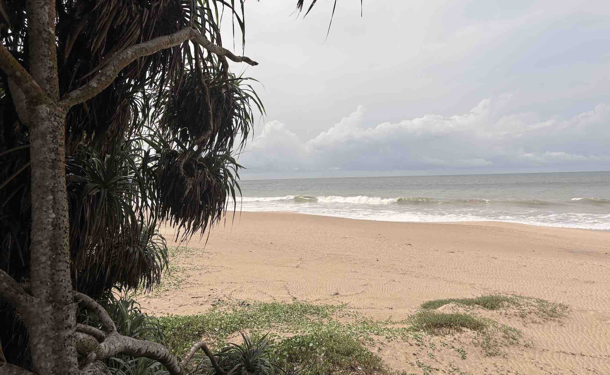 Palm-lined beach near Hungama and Tangalle, Sri Lanka