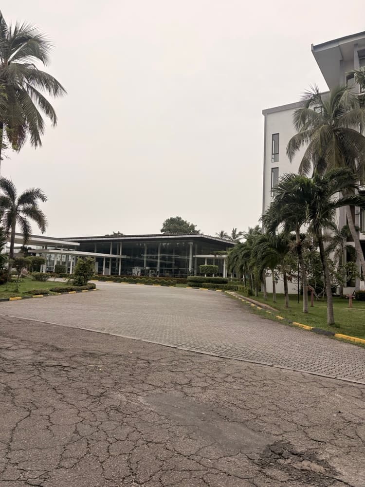 Paved driveway curving towards the glass lobby with palms and a room block beside it