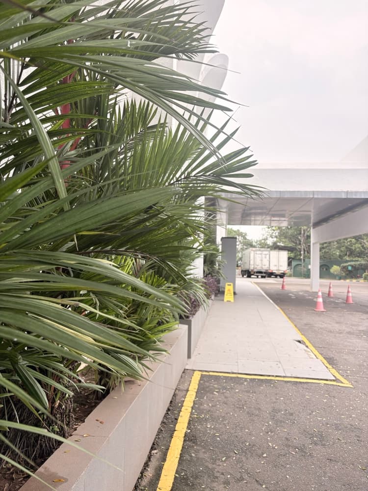 Entrance walkway under the canopy lined with palms at Vivanta Colombo Airport Garden